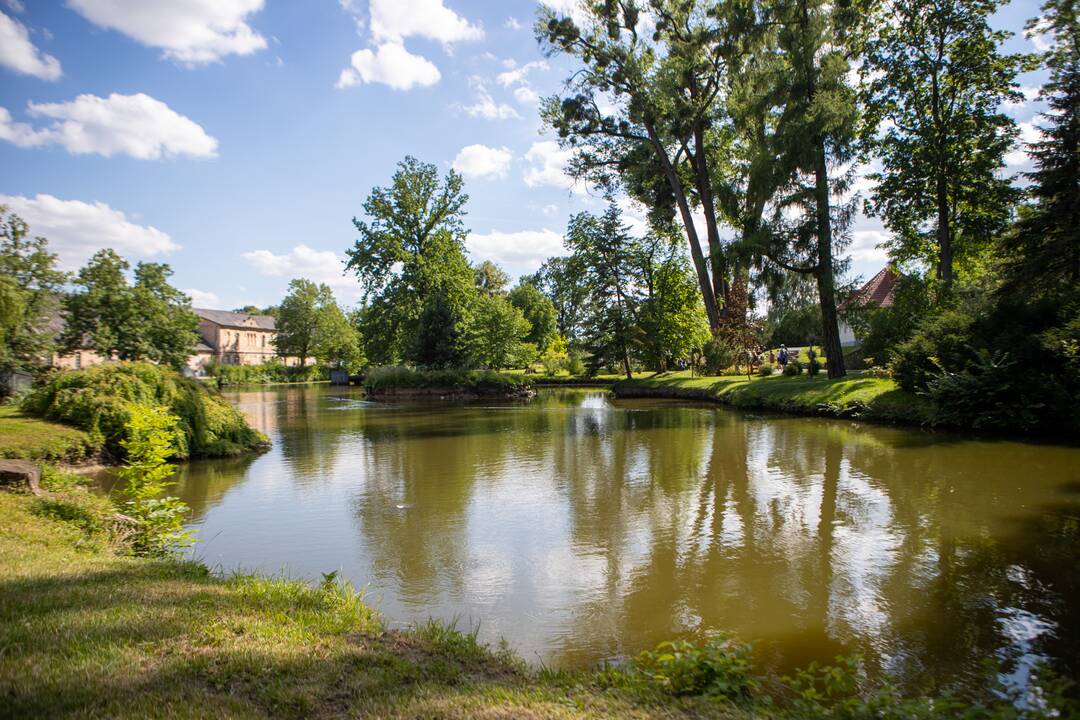 Kvapų naktis VDU Botanikos sode