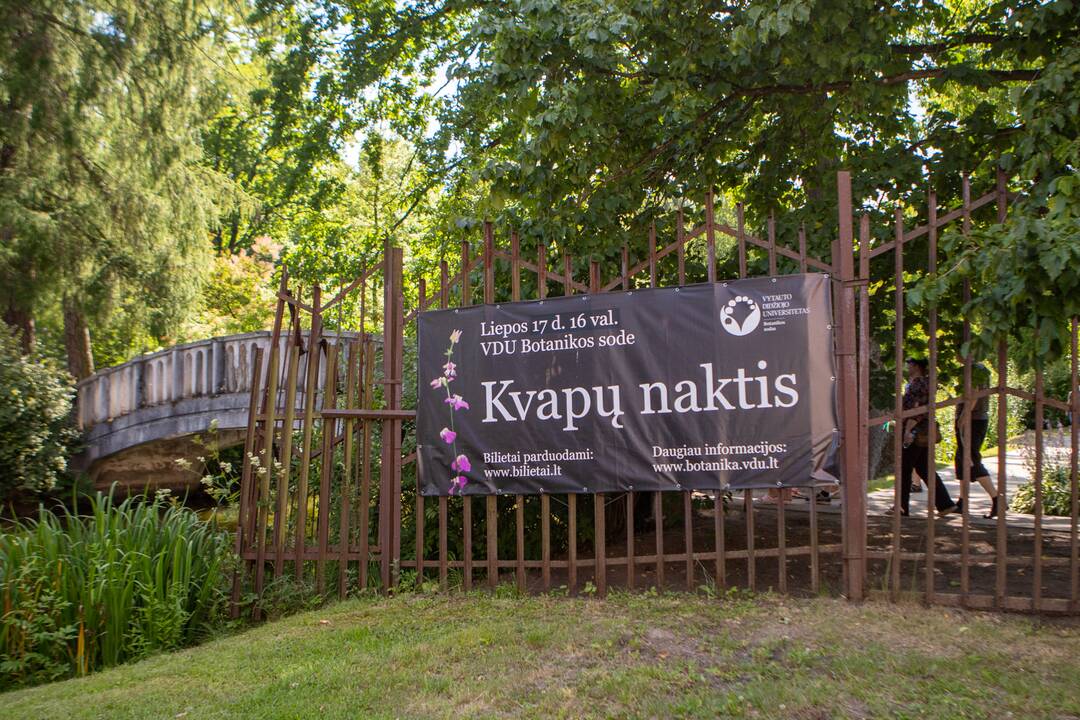 Kvapų naktis VDU Botanikos sode