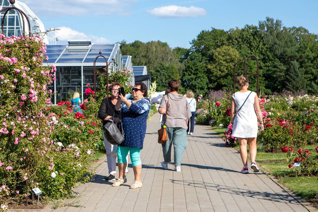 Kvapų naktis VDU Botanikos sode