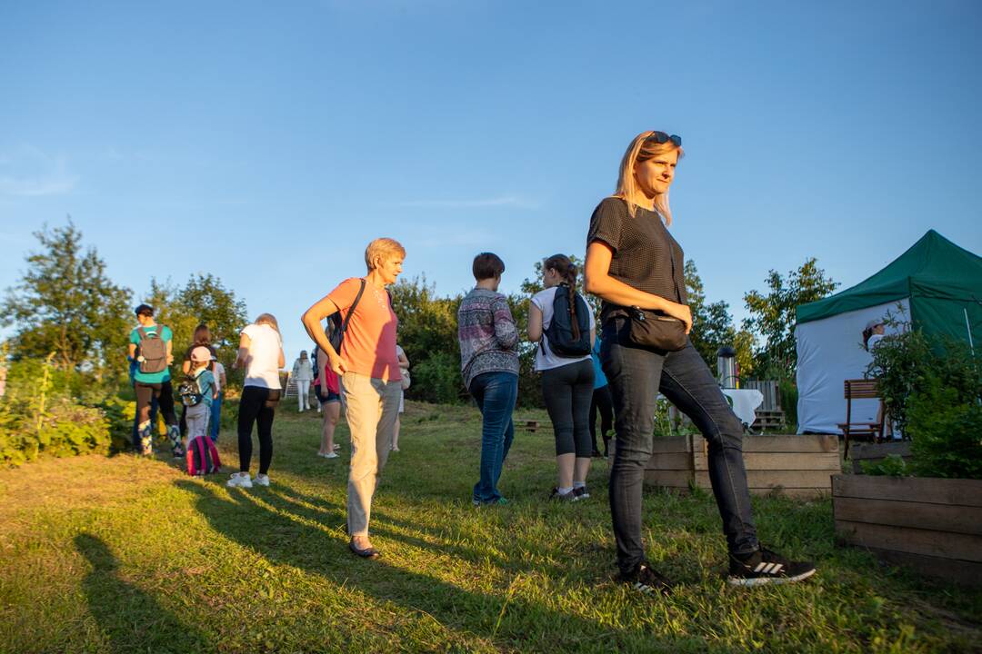 Drugelių paieškos Šilainiuose