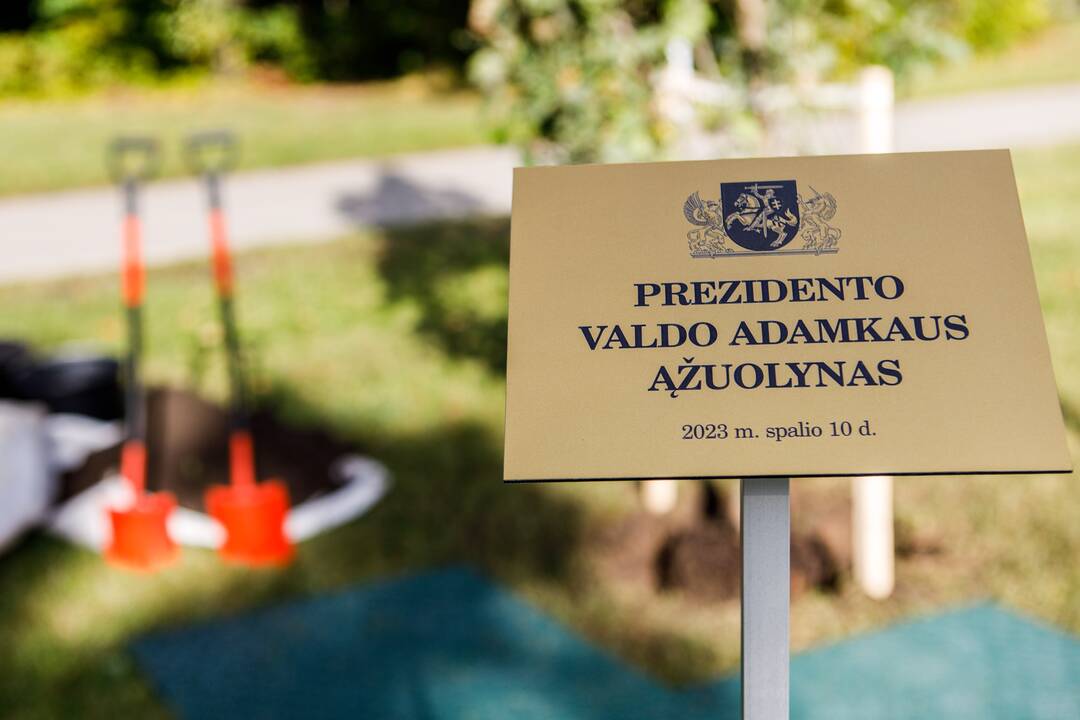 Prie Prezidento Valdo Adamkaus sporto centro šaknis įleido ąžuolai