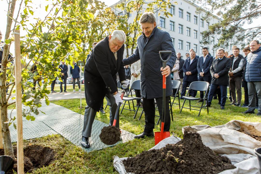 Prie Prezidento Valdo Adamkaus sporto centro šaknis įleido ąžuolai