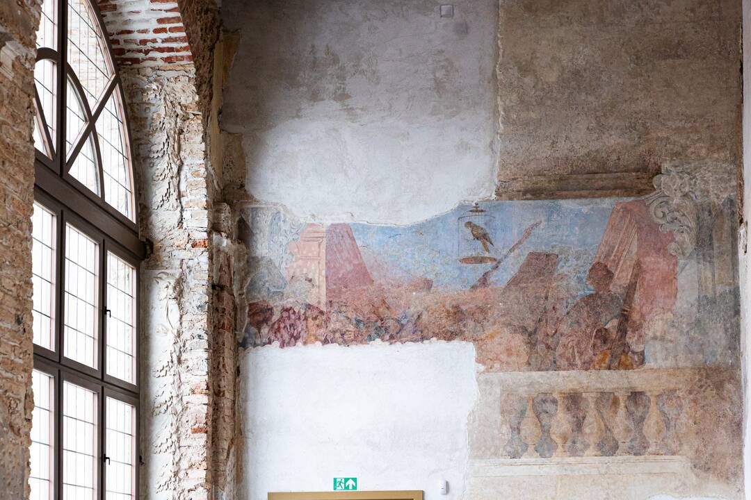 Pažintinė ekskursija po Sapiegų rūmus