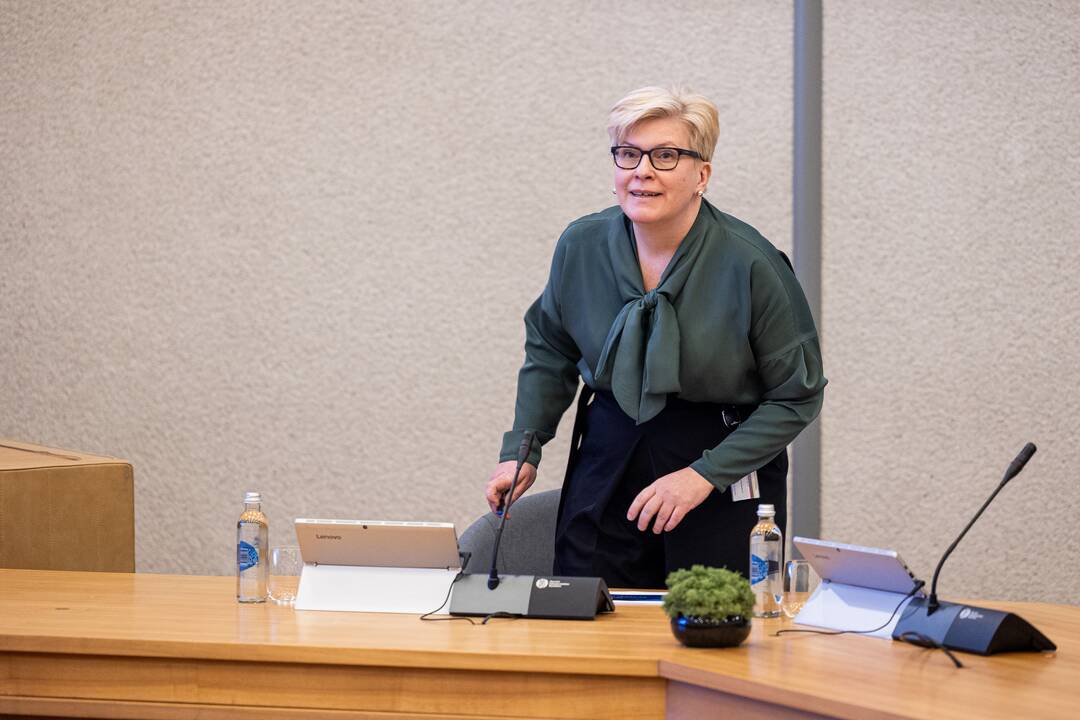 Premjerė susitiko su partijų ir verslo atstovais dėl gynybos mokesčio