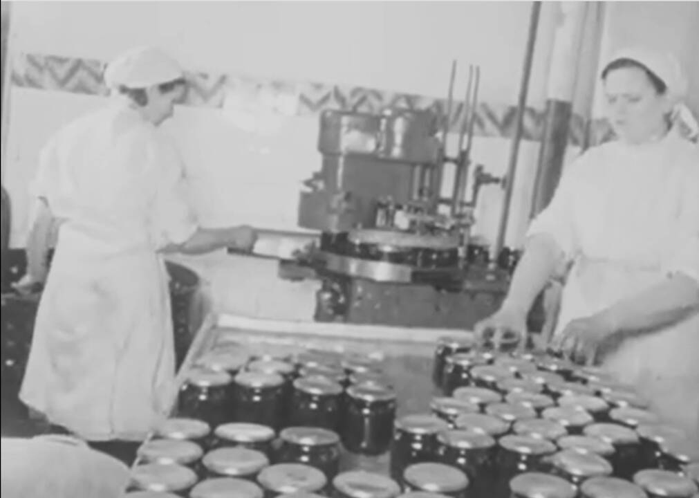 Marinuoti agurkai su ąžuolo lapais – juos pristato su nostalgiško dizaino riboto tiražo etiketėmis: šių ypatingų stiklainių tebus pagaminta 100 000.