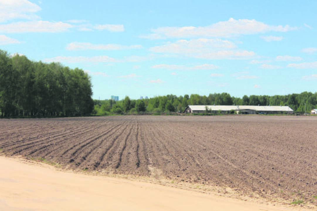 AGRO-ekologiniai ukiai-be chemijos Sveikesni: valgydami ekologiškai užaugintas daržoves, galime būti tikri – nesuvalgysite kartu chemijos priedų.