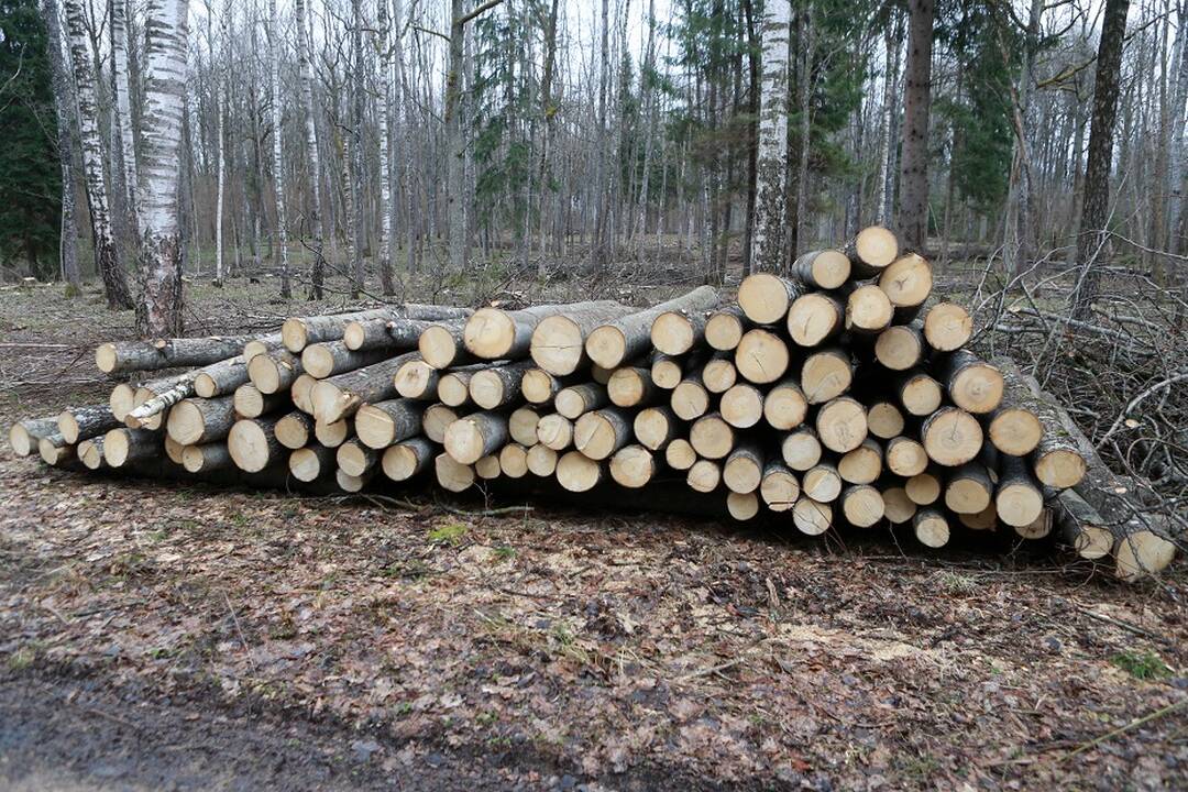 Premjero atsakas į aplinkosaugininkų kritiką: sieksime balanso 