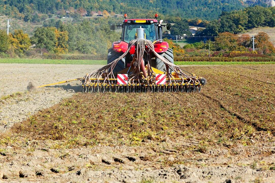 EK ūkininkams leido taikyti išimtį dėl pūdymui paliktos žemės