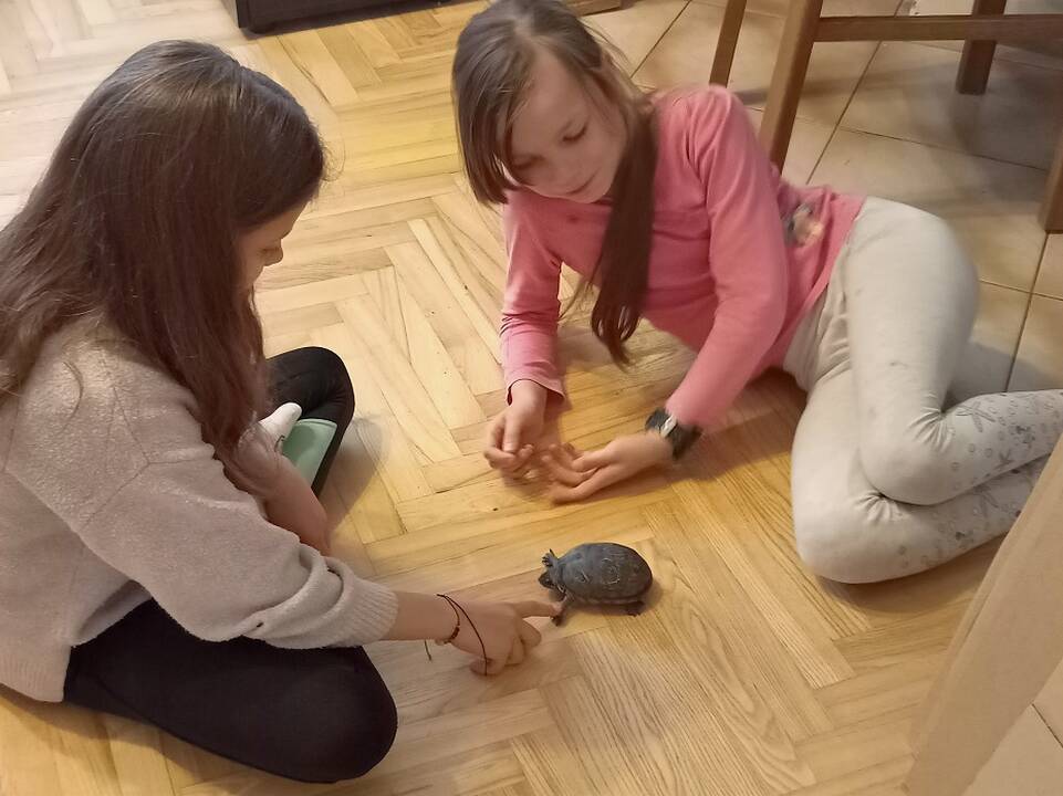 Pasirinkimas: V. Žukauskienės nežavi nei šunys, nei katės, jos aistra – egzotiniai gyvūnai. 