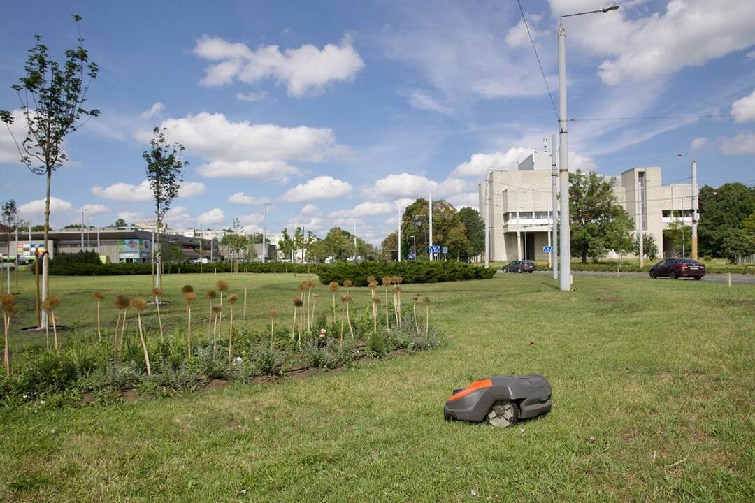 Sostinė pradeda šienavimo sezoną