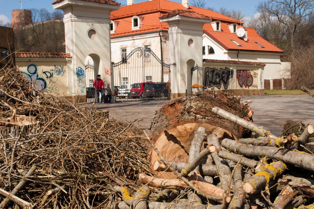 Savivaldą norima įpareigoti atsodinti iškirstus želdinius