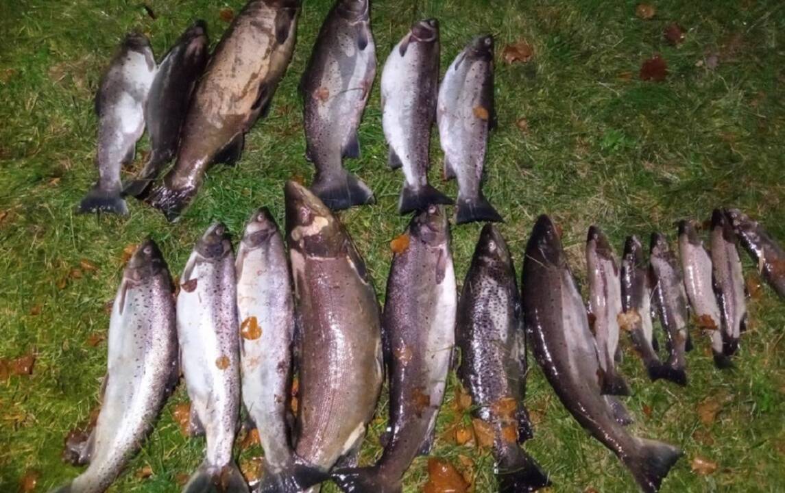 Draustinyje laimikį gaudę žvejai turės pakloti net 42 tūkst. eurų
