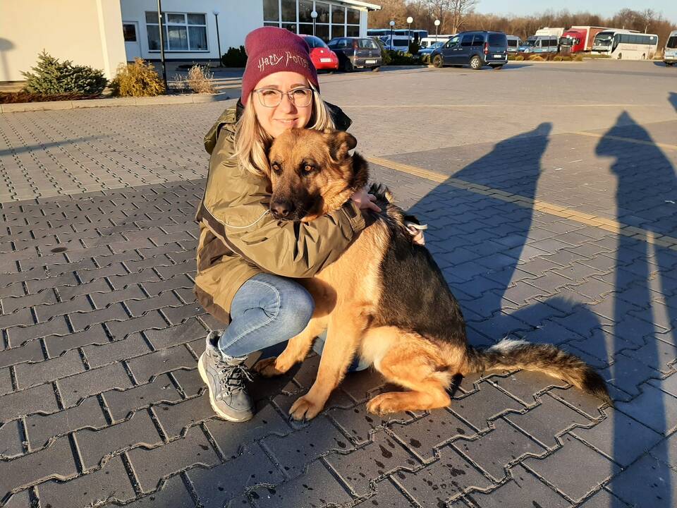Ištikimybė: ukrainiečiai savo elgesiu su gyvūnais karo metu sužavėjo visą pasaulį. „Savų nepaliekame“ – frazė, kuria ypač dažnai dalijamasi.