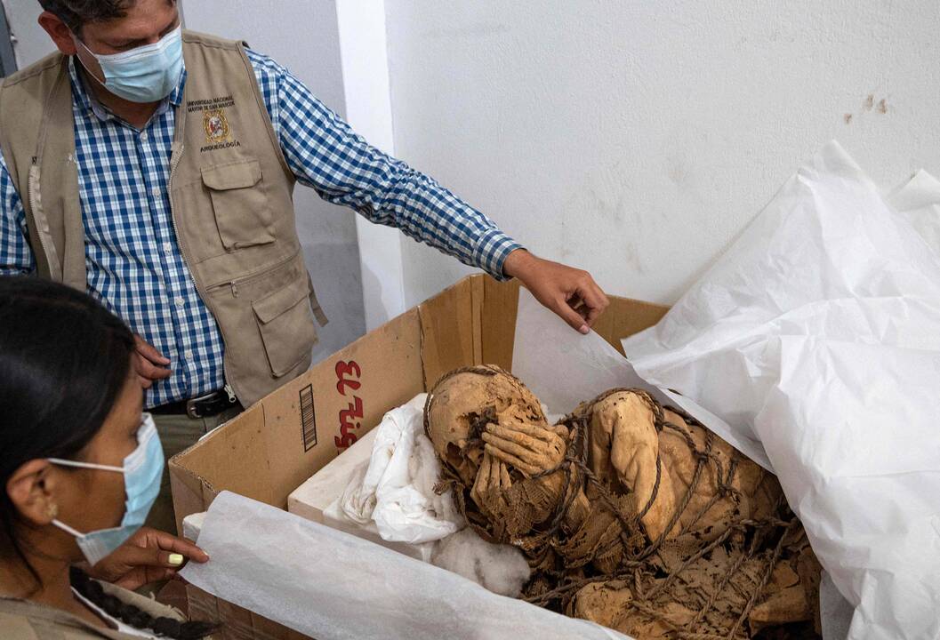 Neįprastas radinys: archeologai Peru aptiko supančiotą mumiją