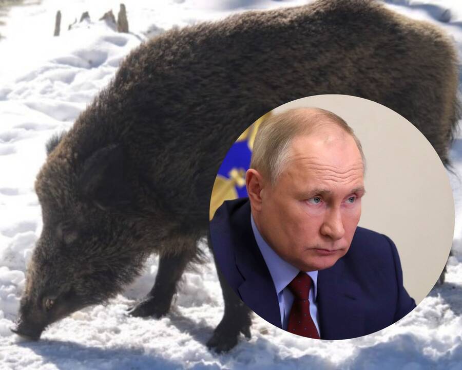 Vladimiras Putinas