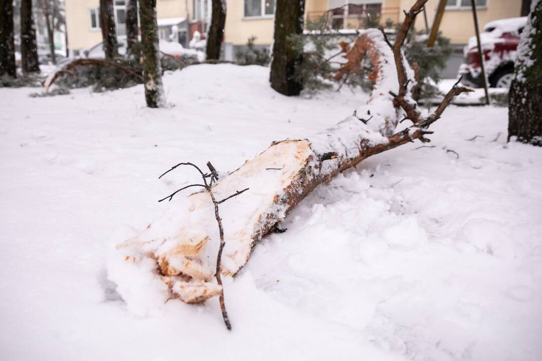 Ugniagesiai gelbėtojai mažiausiai 90 kartų vyko šalinti vėjo padarinių