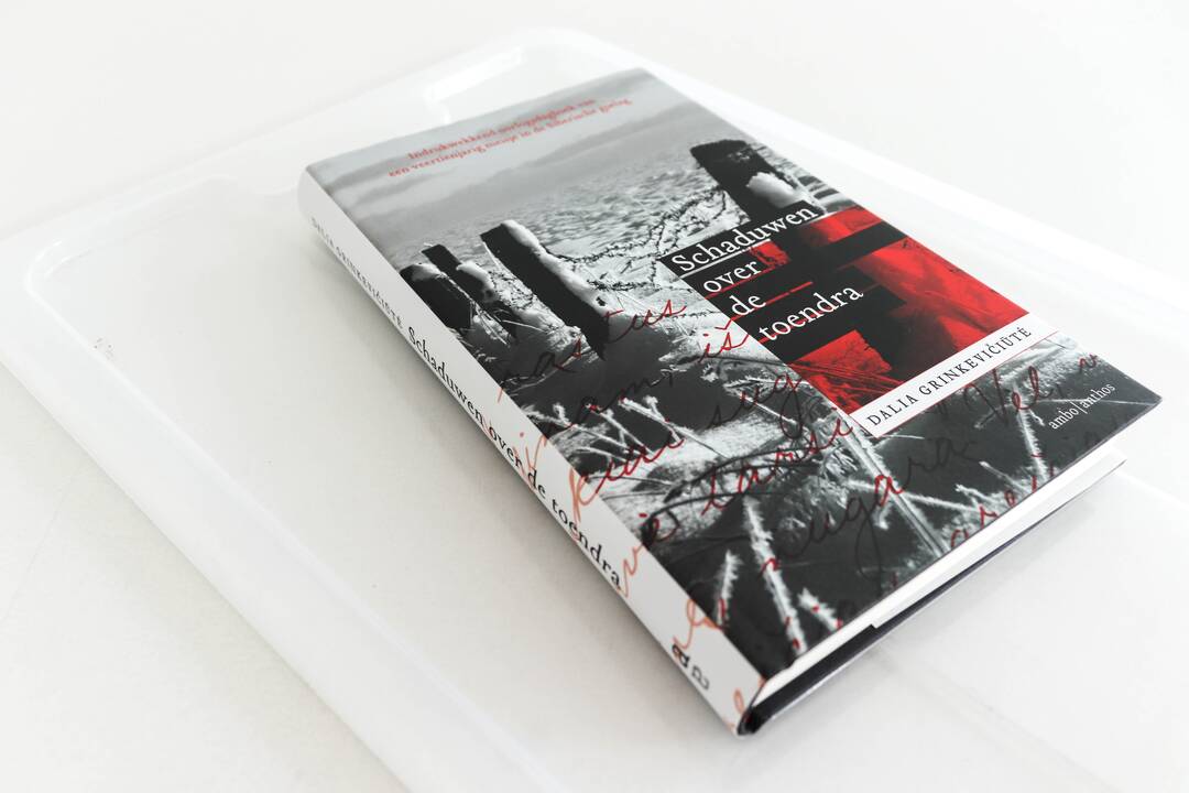 Impulsas: skirtas beveik 80 tūkst. eurų finansavimas padės aktualiausiems Lietuvos grožinės ir negrožinės literatūros kūriniams pasiekti kitakalbius skaitytojus.