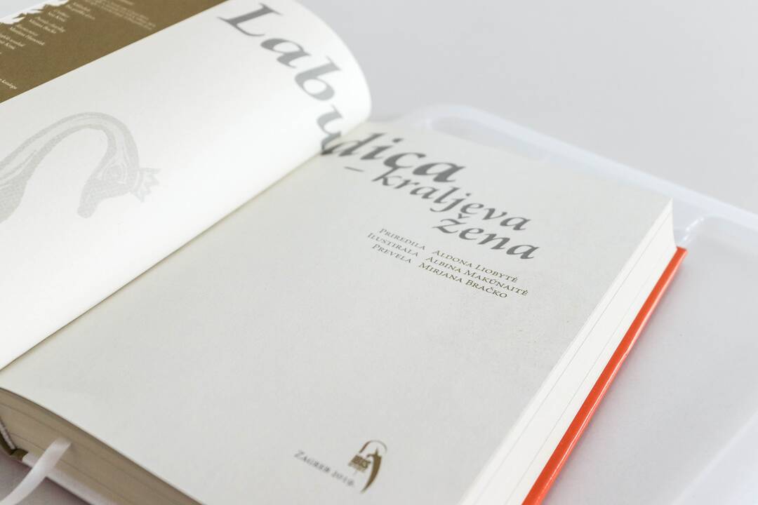 Impulsas: skirtas beveik 80 tūkst. eurų finansavimas padės aktualiausiems Lietuvos grožinės ir negrožinės literatūros kūriniams pasiekti kitakalbius skaitytojus.