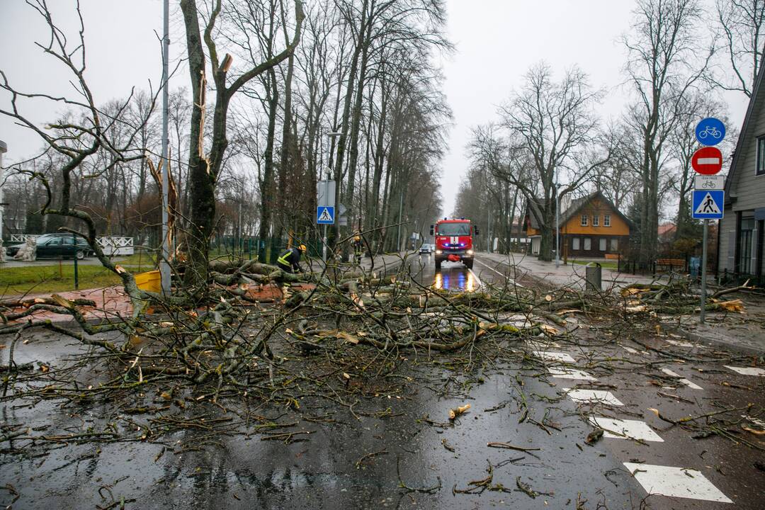 Palangoje siaučia audra