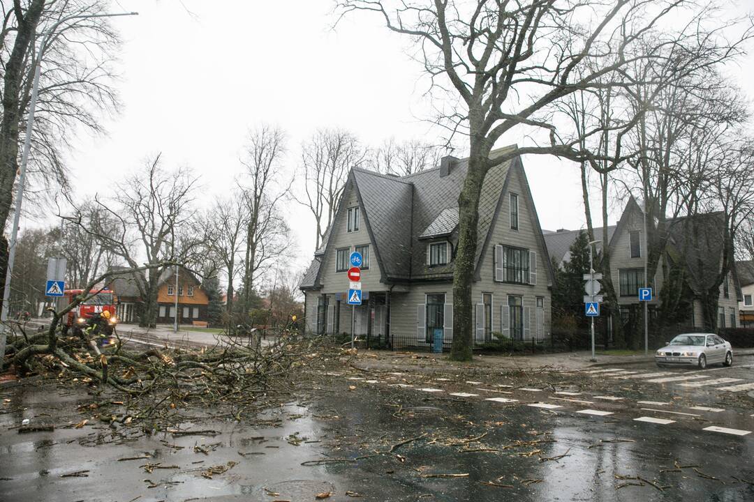 Palangoje siaučia audra