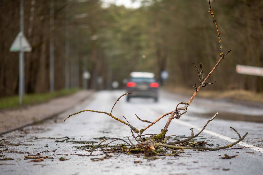 Ugniagesiai gelbėtojai daugiau nei 300 kartų vyko šalinti vėjo padarinių