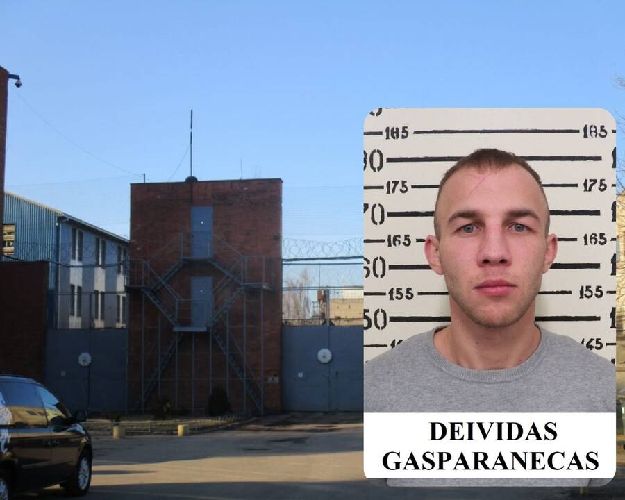 Deividas Gasparanecas