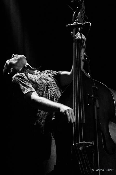Avishai Cohenas