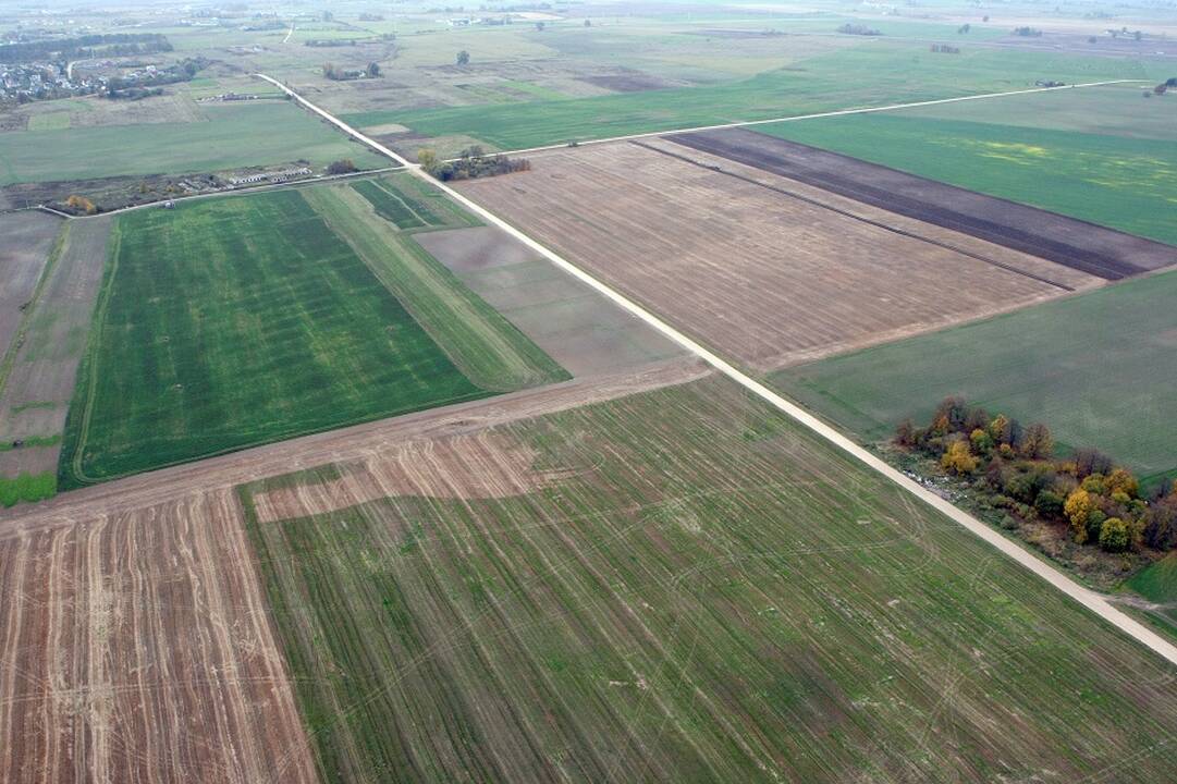 Opozicijai rodant į nevykstantį pasėlių deklaravimą, žadama jį kiek pratęsti 