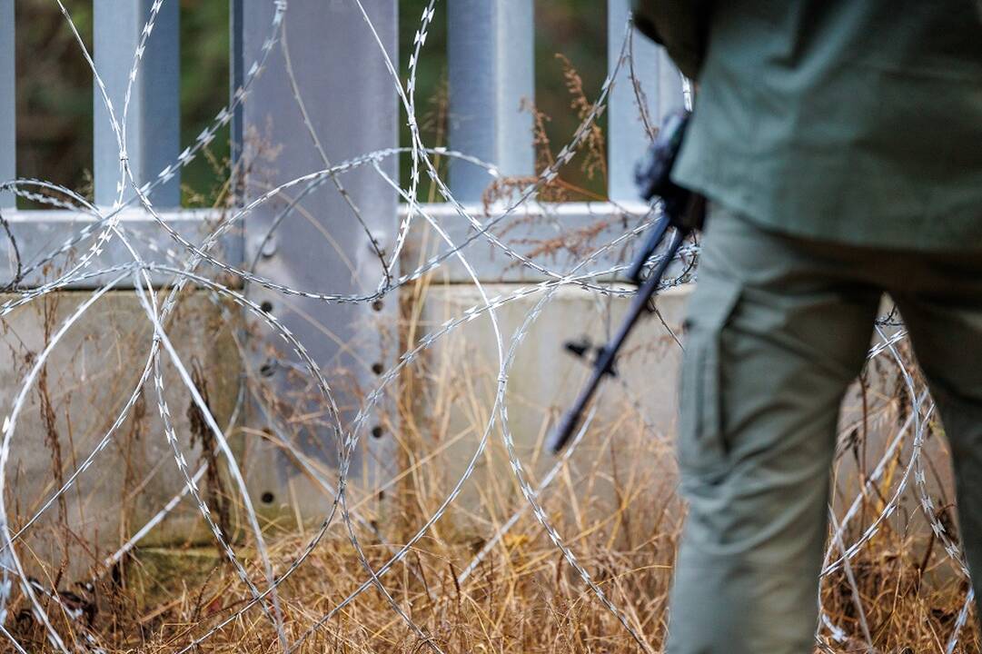 VSAT: per parą į šalį neįleisti 33 neteisėti migrantai