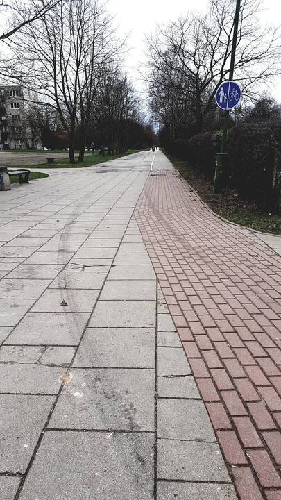 Užfiksavo: sprunkanti mašina kelis kartus važiavo laiptais.
