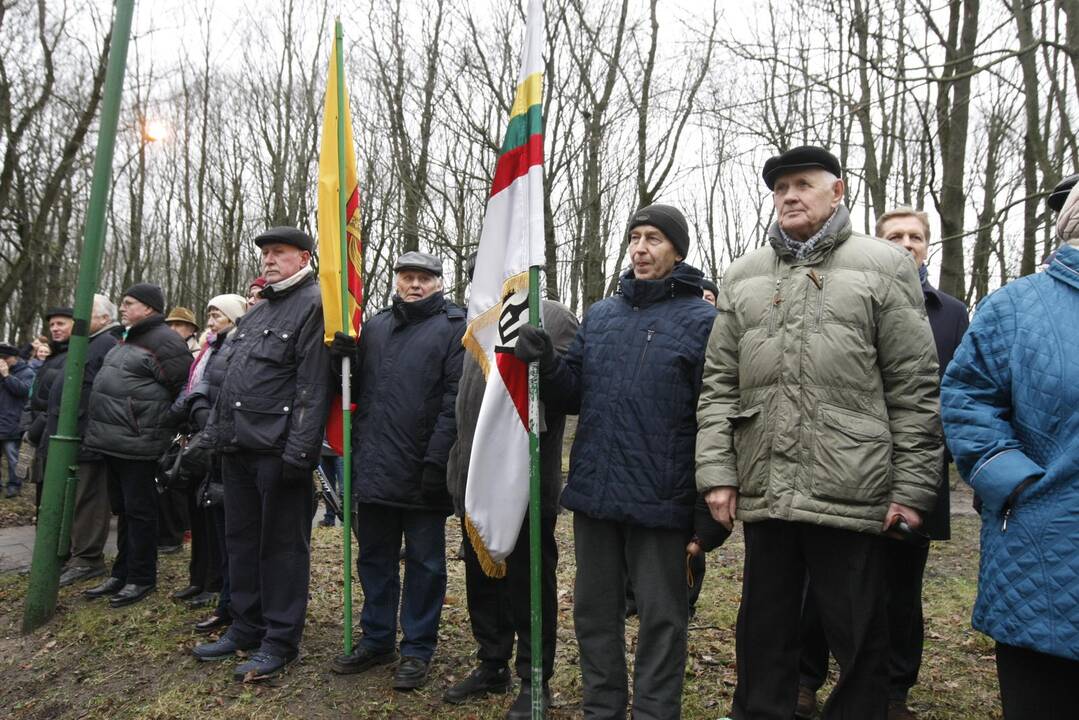 Klaipėdos sukilėlių garbei – šautuvų salvės ir kariliono varpų gausmas