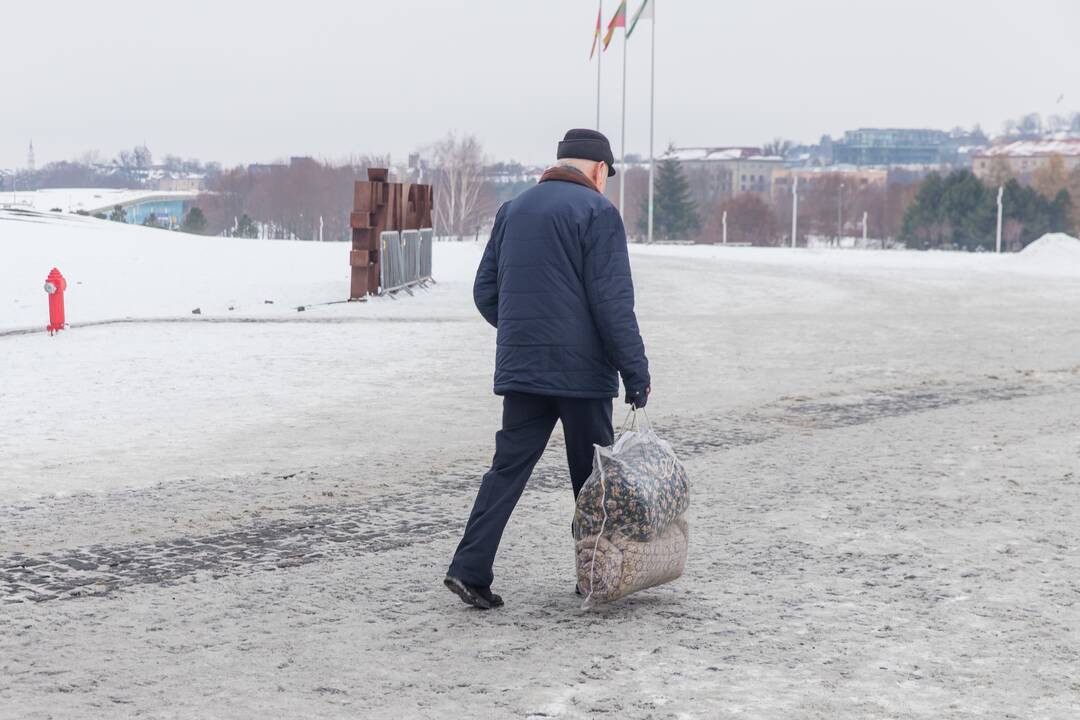 Miegmaišių Ukrainai rinkimo akcija Kaune