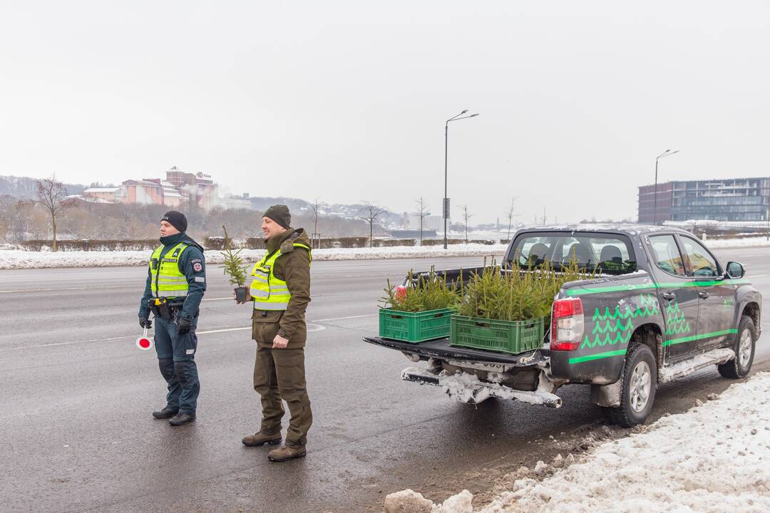 Kaune miškininkai su policija vairuotojams dovanojo eglutes