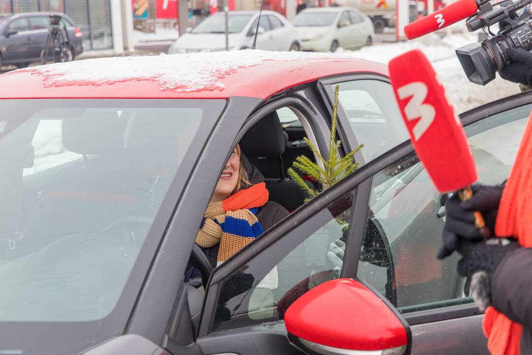 Kaune miškininkai su policija vairuotojams dovanojo eglutes