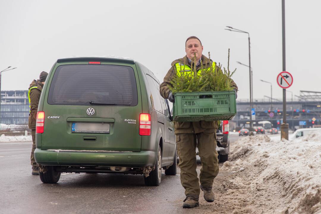 Kaune miškininkai su policija vairuotojams dovanojo eglutes