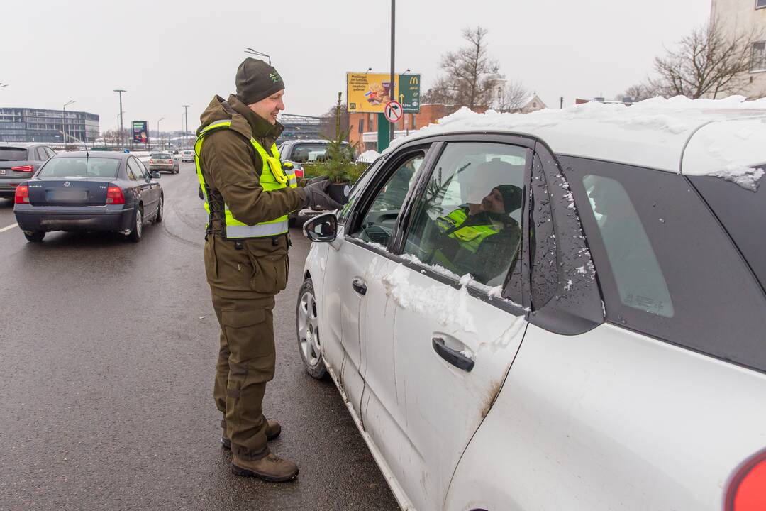 Kaune miškininkai su policija vairuotojams dovanojo eglutes