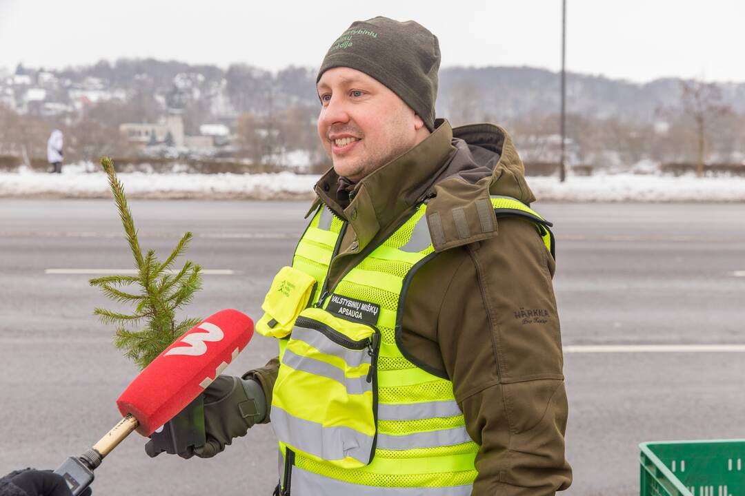 Kaune miškininkai su policija vairuotojams dovanojo eglutes