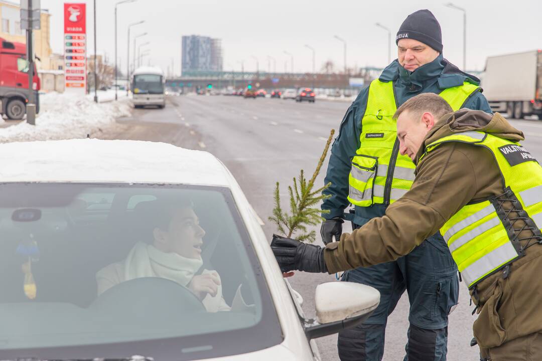 Kaune miškininkai su policija vairuotojams dovanojo eglutes