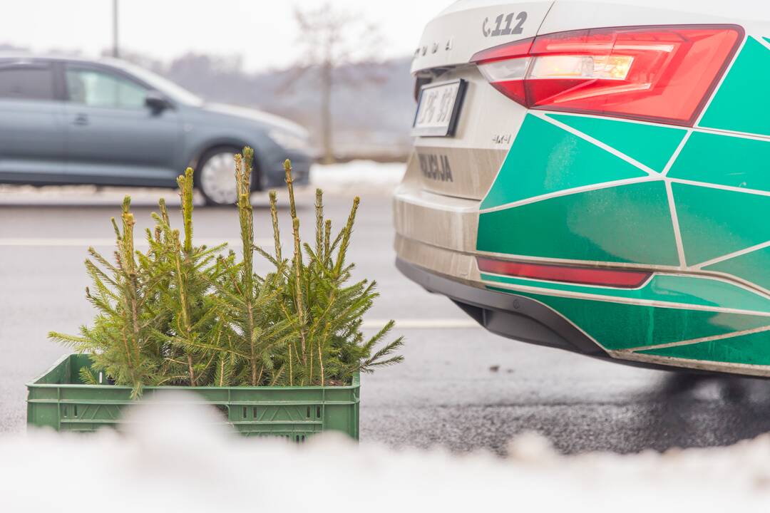 Kaune miškininkai su policija vairuotojams dovanojo eglutes