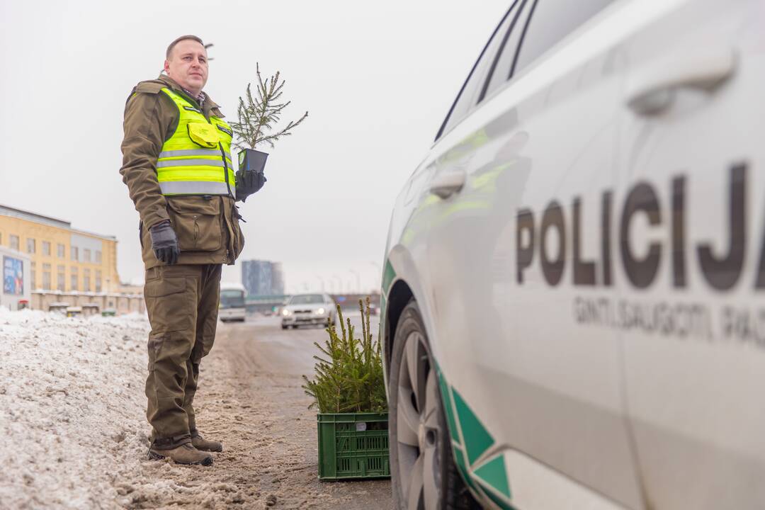 Kaune miškininkai su policija vairuotojams dovanojo eglutes