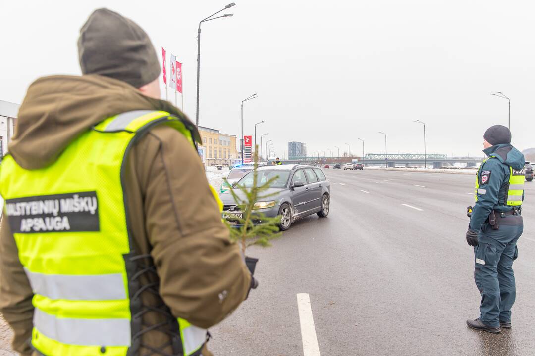 Kaune miškininkai su policija vairuotojams dovanojo eglutes