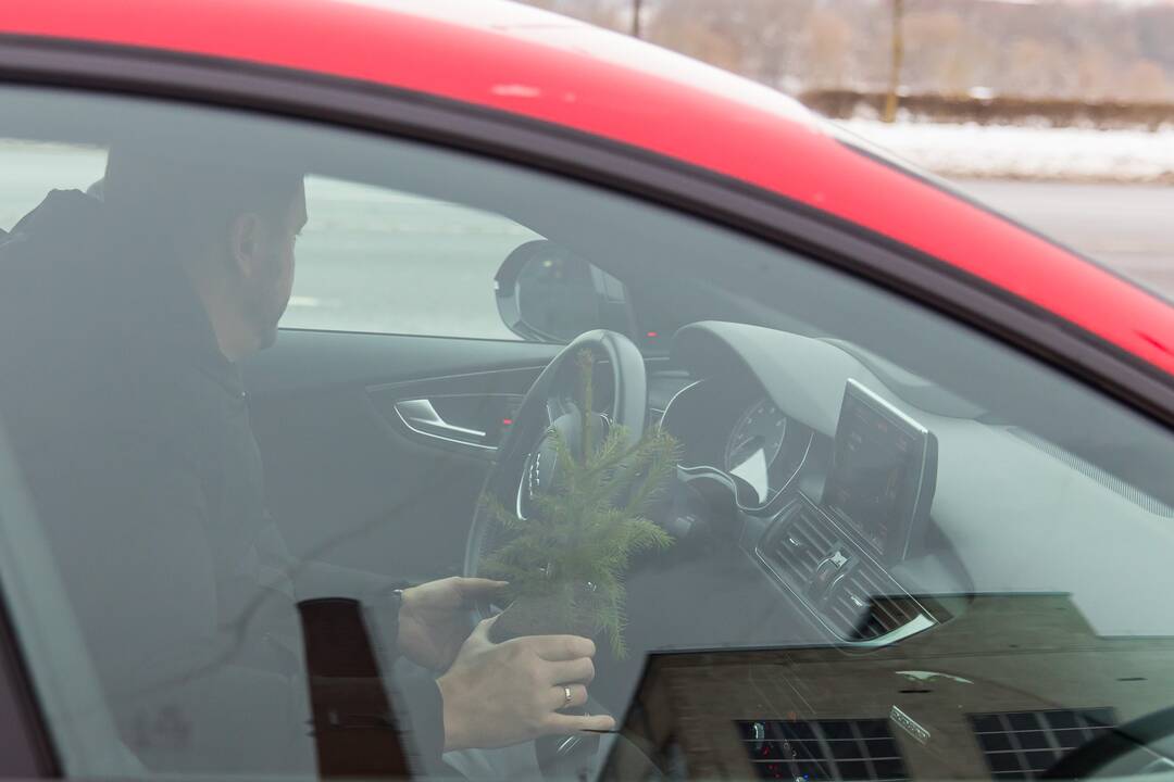 Kaune miškininkai su policija vairuotojams dovanojo eglutes