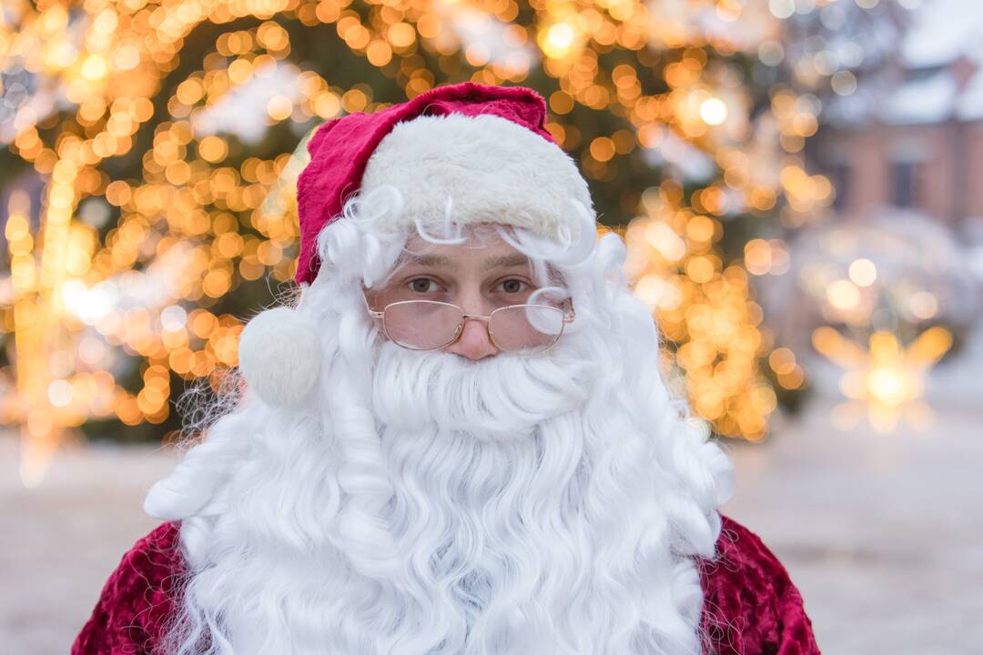 Kaune dalijamos eglės šakos