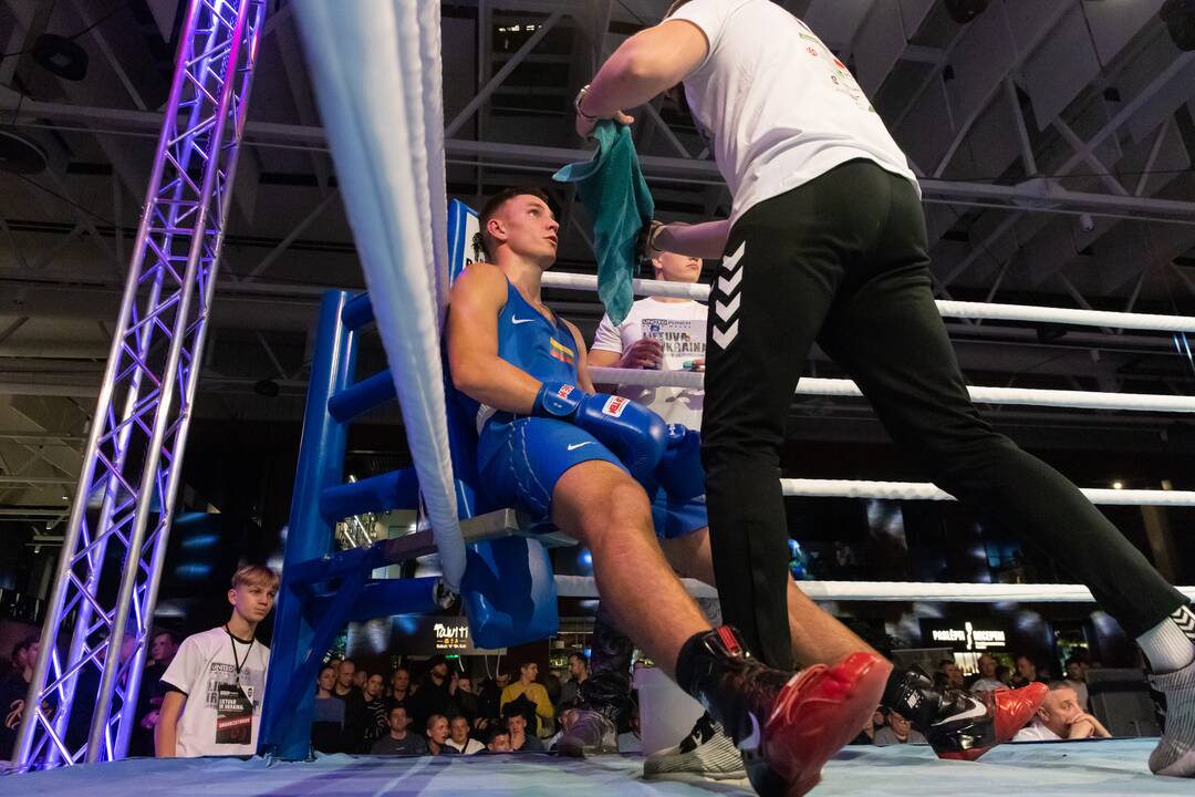 Bokso mačas „United Punch“