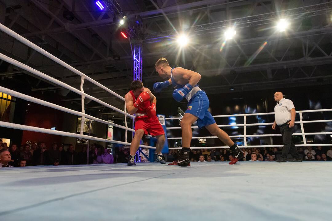 Bokso mačas „United Punch“