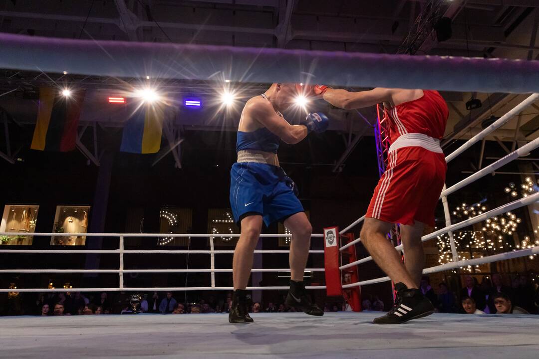 Bokso mačas „United Punch“