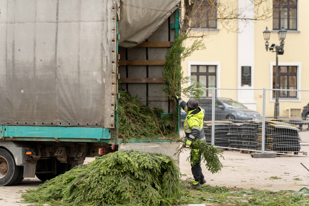 Pristatyta Kauno kalėdinė eglutė 
