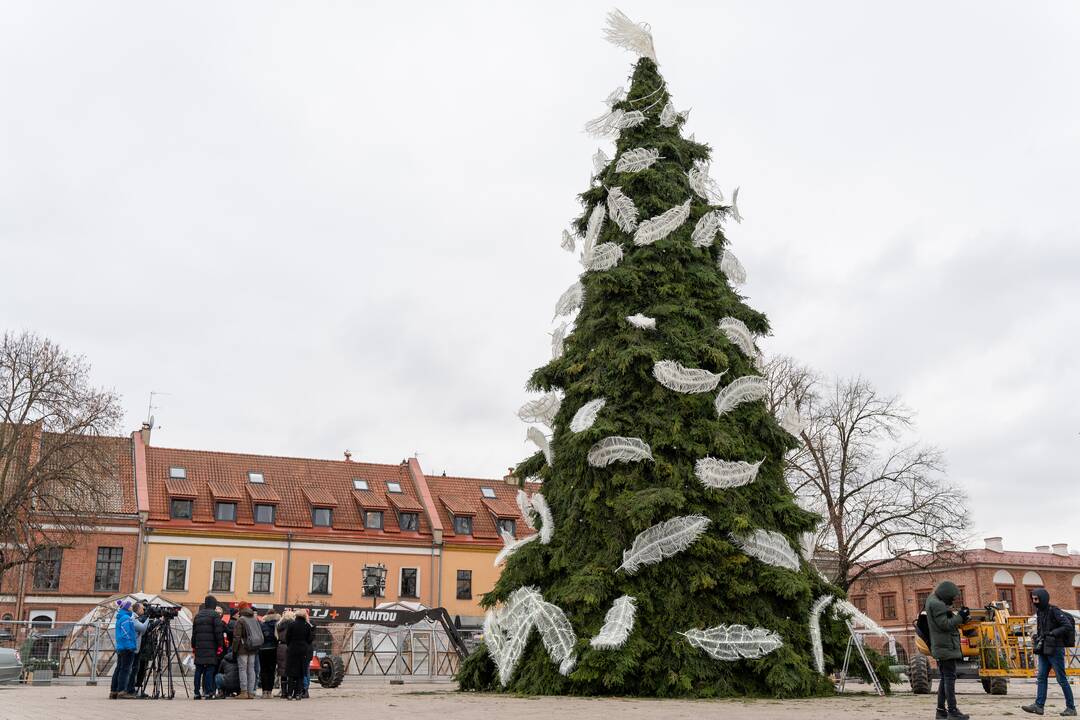 Pristatyta Kauno kalėdinė eglutė 