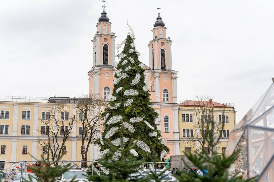 Pristatyta Kauno kalėdinė eglutė 