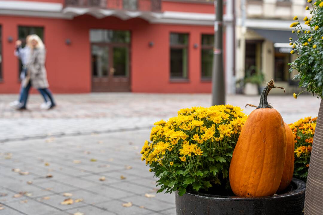 Kaunas puošiasi Helovino šventei